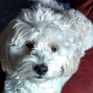 Meet your Posher, Anne